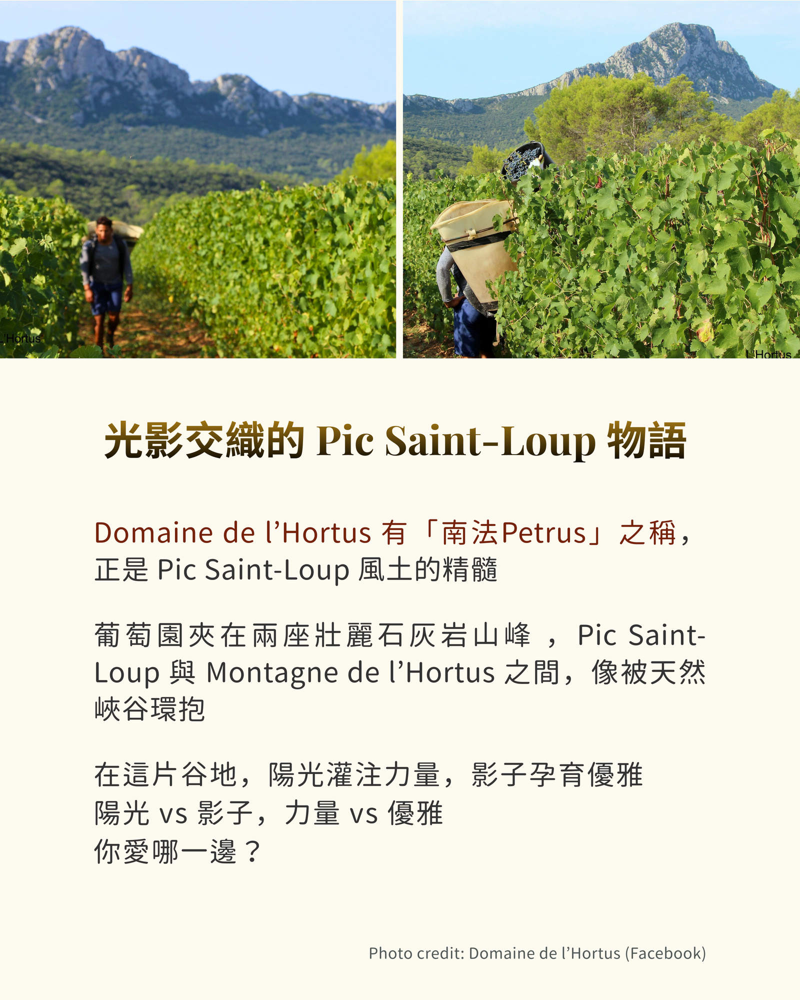 光影交織的 Pic Saint-Loup 物語