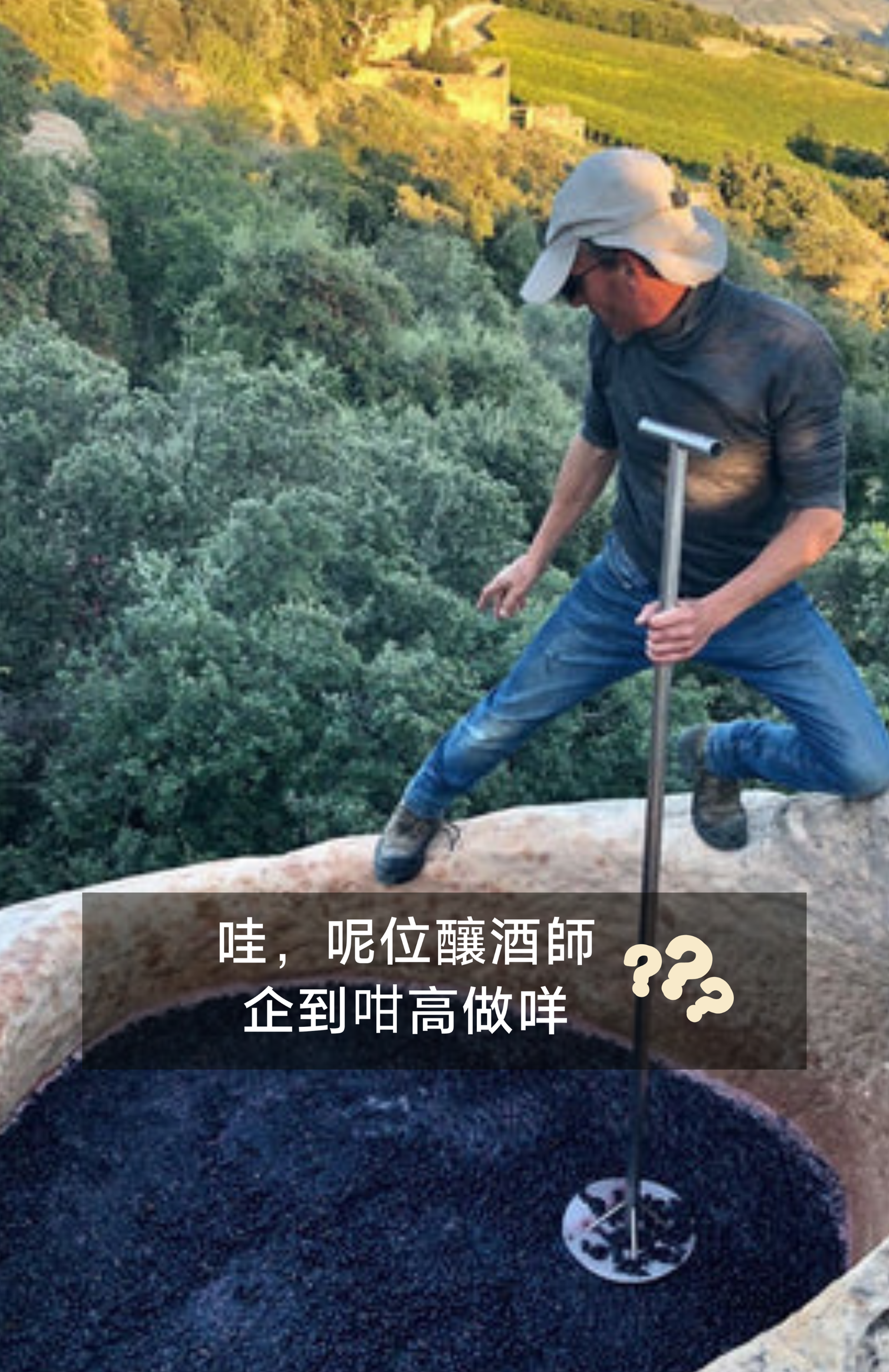 Castell d'Encus：高山上的先見之明⛰️