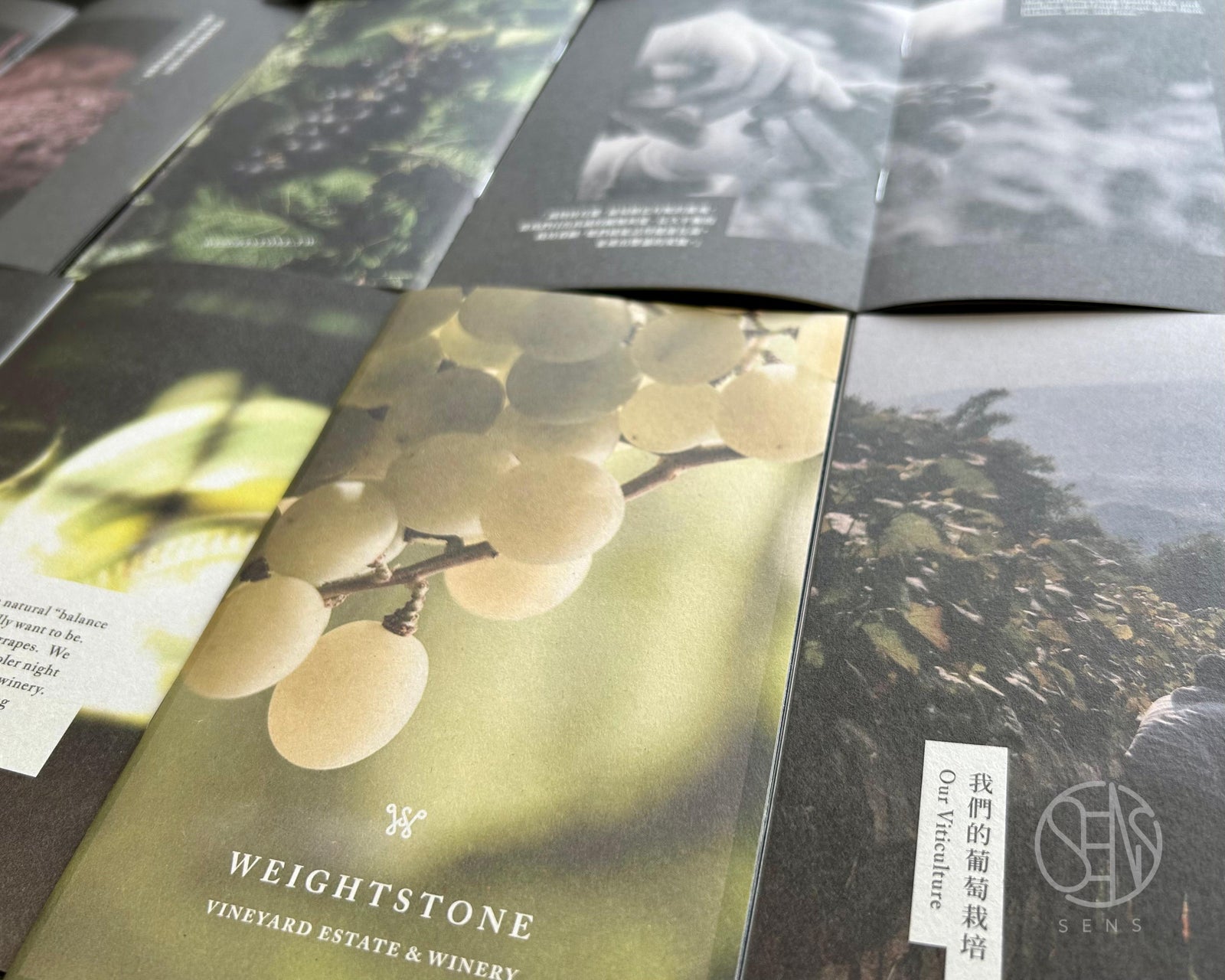 由台灣威到香港