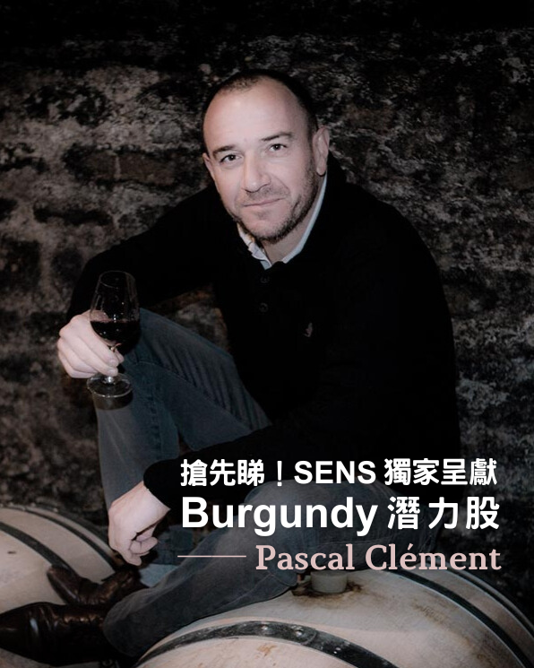 【Sens 獨家呈獻】 Burgundy潛力股 Pascal Clement