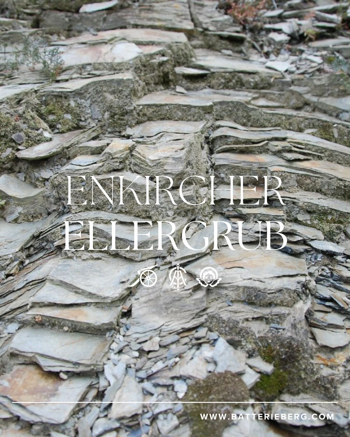 Mosel經典藍板岩Cru （80年老藤，無接枝） - Weingut Immich-Batterieberg "Enkircher Ellergrub" Riesling 2020 (RP: 95)