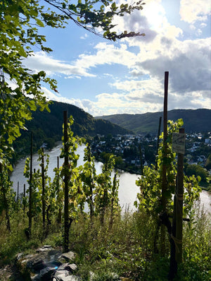 Weingut Immich-Batterieberg "Jour Fixe" Riesling Brut Nature 2016