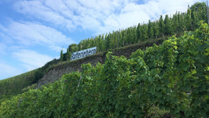 Weingut Immich-Batterieberg ROB Pinot Noir Rosé 2020