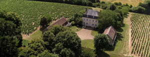 Château Favray Pouilly‑Fumé Tonnerre 2020