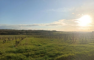 Chateau Baratet Blanc 2025