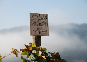 Weingut Immich-Batterieberg "Jour Fixe" Riesling Brut Nature 2016