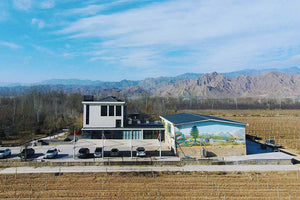 迦南美地小野馬 2022  Kanaan Wild Pony Red 2022 (JS: 89)