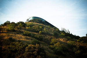 神之水滴『十一門徒 夕陽』的入門版  Ferrer Bobet Vinyes Velles 2019 (RP: 94, JS: 94)