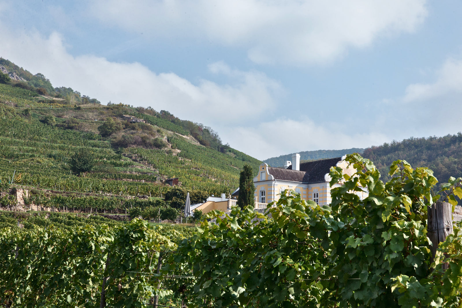 Pichler-Krutzler Riesling "Kellerberg" 2013 (Vinous: 94)