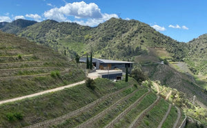 神之水滴『十一門徒 夕陽』的入門版  Ferrer Bobet Vinyes Velles 2019 (RP: 94, JS: 94)