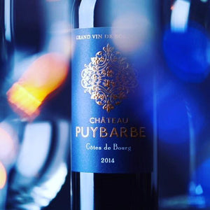 Château Puybarbe 2019 (Guide Hachette: Three Star Award & Coup de Cœur; HVE 3 )