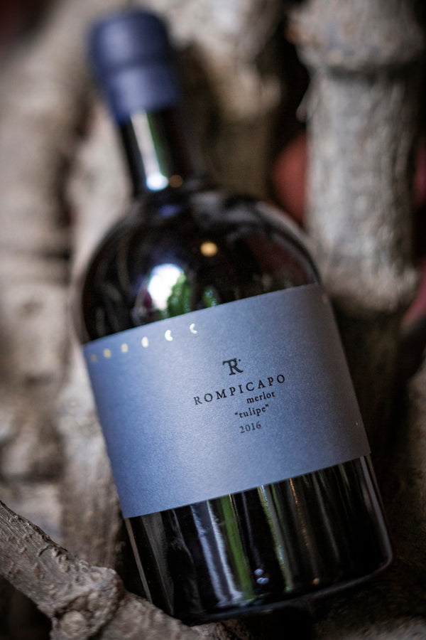Italo Cescon Tesirare Rompicapo Merlot "Tulipe" 2019 (Organic Wine)