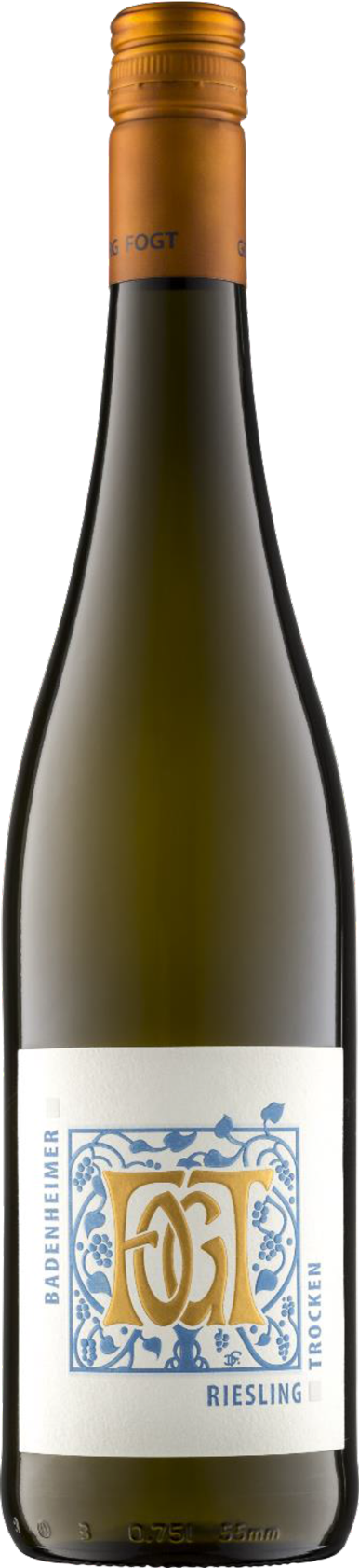 Weingut Fogt Badenheimer Schelmenstuck Riesling Trocken 2019